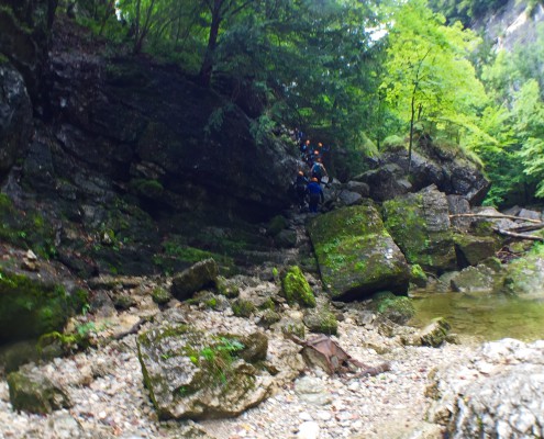 2016-08-21_135226000_C813D_iOS